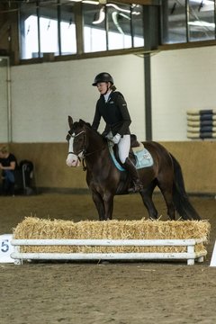 Bild 145 - Pony Akademie Turnier